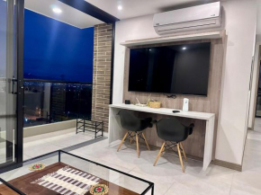 Luxury apartment with city view